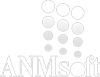 ANMSOFT TECHNOLOGIES PRIVATE LIMITED